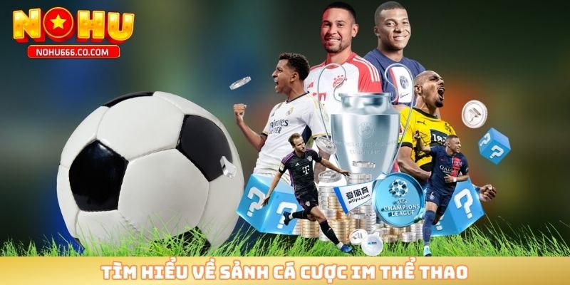 Tìm hiểu về sảnh cá cược IM thể thao 